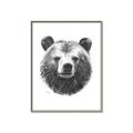 Picture of Bear Sketch _GroupedProduct_Rectangle_Portrait_Canvas_Framed_