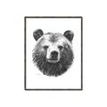 Picture of Bear Sketch _GroupedProduct_Rectangle_Portrait_Canvas_Framed_