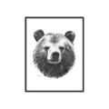 Picture of Bear Sketch _GroupedProduct_Rectangle_Portrait_Canvas_Framed_