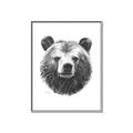 Picture of Bear Sketch _GroupedProduct_Rectangle_Portrait_Canvas_Framed_