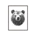 Picture of Bear Sketch _GroupedProduct_Rectangle_Portrait_Canvas_Framed_