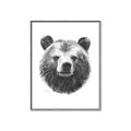 Picture of Bear Sketch _GroupedProduct_Rectangle_Portrait_Canvas_Framed_