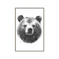 Picture of Bear Sketch _GroupedProduct_Rectangle_Portrait_Canvas_Framed_