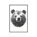 Picture of Bear Sketch _GroupedProduct_Rectangle_Portrait_Canvas_Framed_