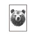 Picture of Bear Sketch _GroupedProduct_Rectangle_Portrait_Canvas_Framed_