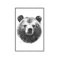 Picture of Bear Sketch _GroupedProduct_Rectangle_Portrait_Canvas_Framed_