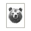 Picture of Bear Sketch _GroupedProduct_Rectangle_Portrait_Canvas_Framed_