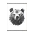 Picture of Bear Sketch _GroupedProduct_Rectangle_Portrait_Canvas_Framed_