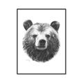 Picture of Bear Sketch _GroupedProduct_Rectangle_Portrait_Canvas_Framed_