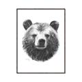 Picture of Bear Sketch _GroupedProduct_Rectangle_Portrait_Canvas_Framed_