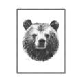 Picture of Bear Sketch _GroupedProduct_Rectangle_Portrait_Canvas_Framed_
