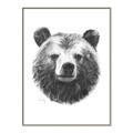 Picture of Bear Sketch _GroupedProduct_Rectangle_Portrait_Canvas_Framed_