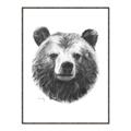Picture of Bear Sketch _GroupedProduct_Rectangle_Portrait_Canvas_Framed_