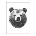 Picture of Bear Sketch _GroupedProduct_Rectangle_Portrait_Canvas_Framed_