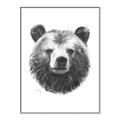 Picture of Bear Sketch _GroupedProduct_Rectangle_Portrait_Canvas_Framed_