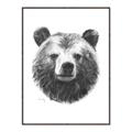 Picture of Bear Sketch _GroupedProduct_Rectangle_Portrait_Canvas_Framed_