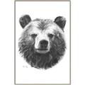 Picture of Bear Sketch _GroupedProduct_Rectangle_Portrait_Canvas_Framed_