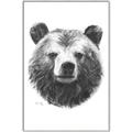 Picture of Bear Sketch _GroupedProduct_Rectangle_Portrait_Canvas_Framed_