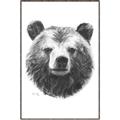 Picture of Bear Sketch _GroupedProduct_Rectangle_Portrait_Canvas_Framed_