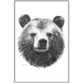 Picture of Bear Sketch _GroupedProduct_Rectangle_Portrait_Canvas_Framed_