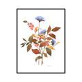 Picture of Violets and reds I _GroupedProduct_Rectangle_Portrait_Canvas_Framed_