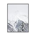 Picture of Snowy Treetops _GroupedProduct_Rectangle_Portrait_Photography _GroupedProduct_Rectangle_Portrait_Canvas_Framed_
