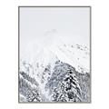 Picture of Snowy Treetops _GroupedProduct_Rectangle_Portrait_Photography _GroupedProduct_Rectangle_Portrait_Canvas_Framed_