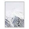 Picture of Snowy Treetops _GroupedProduct_Rectangle_Portrait_Photography _GroupedProduct_Rectangle_Portrait_Canvas_Framed_