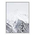 Picture of Snowy Treetops _GroupedProduct_Rectangle_Portrait_Photography _GroupedProduct_Rectangle_Portrait_Canvas_Framed_