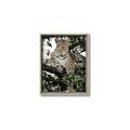 Picture of Lurking Cheetah _GroupedProduct_Rectangle_Portrait_Canvas_Framed_