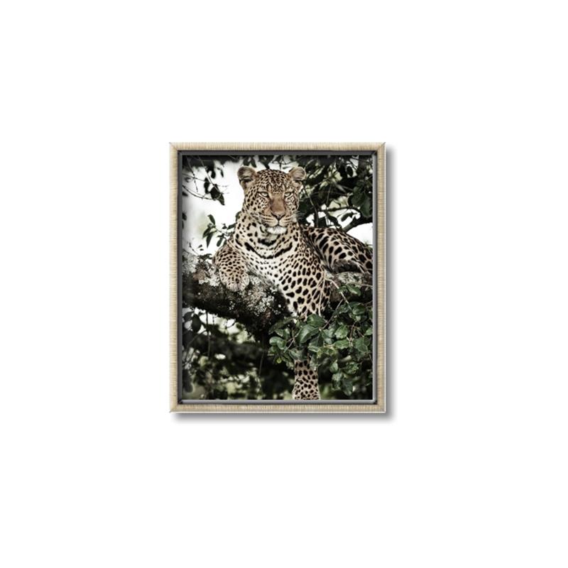Picture of Lurking Cheetah _GroupedProduct_Rectangle_Portrait_Canvas_Framed_