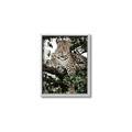 Picture of Lurking Cheetah _GroupedProduct_Rectangle_Portrait_Canvas_Framed_
