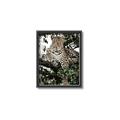 Picture of Lurking Cheetah _GroupedProduct_Rectangle_Portrait_Canvas_Framed_