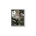 Picture of Lurking Cheetah _GroupedProduct_Rectangle_Portrait_Canvas_Framed_