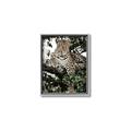 Picture of Lurking Cheetah _GroupedProduct_Rectangle_Portrait_Canvas_Framed_