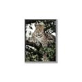 Picture of Lurking Cheetah _GroupedProduct_Rectangle_Portrait_Canvas_Framed_