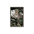 Picture of Lurking Cheetah _GroupedProduct_Rectangle_Portrait_Canvas_Framed_