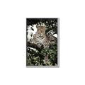 Picture of Lurking Cheetah _GroupedProduct_Rectangle_Portrait_Canvas_Framed_