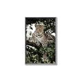 Picture of Lurking Cheetah _GroupedProduct_Rectangle_Portrait_Canvas_Framed_