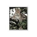 Picture of Lurking Cheetah _GroupedProduct_Rectangle_Portrait_Canvas_Framed_