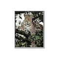 Picture of Lurking Cheetah _GroupedProduct_Rectangle_Portrait_Canvas_Framed_