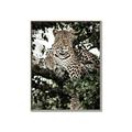 Picture of Lurking Cheetah _GroupedProduct_Rectangle_Portrait_Canvas_Framed_