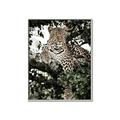 Picture of Lurking Cheetah _GroupedProduct_Rectangle_Portrait_Canvas_Framed_