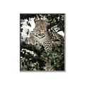 Picture of Lurking Cheetah _GroupedProduct_Rectangle_Portrait_Canvas_Framed_