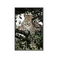 Picture of Lurking Cheetah _GroupedProduct_Rectangle_Portrait_Canvas_Framed_