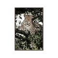 Picture of Lurking Cheetah _GroupedProduct_Rectangle_Portrait_Canvas_Framed_