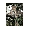 Picture of Lurking Cheetah _GroupedProduct_Rectangle_Portrait_Canvas_Framed_