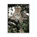 Picture of Lurking Cheetah _GroupedProduct_Rectangle_Portrait_Canvas_Framed_