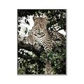 Picture of Lurking Cheetah _GroupedProduct_Rectangle_Portrait_Canvas_Framed_