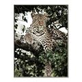 Picture of Lurking Cheetah _GroupedProduct_Rectangle_Portrait_Canvas_Framed_
